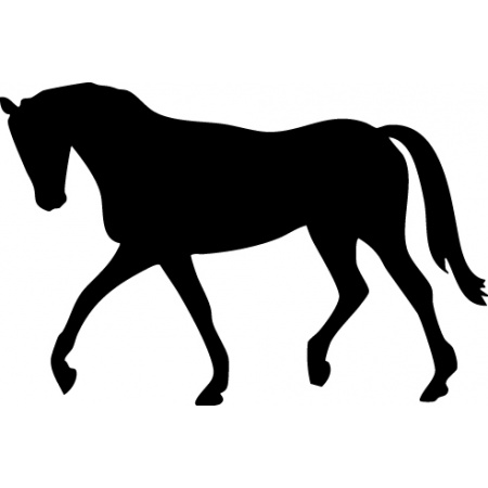 gsb17-s21802_horse_walking_568975084